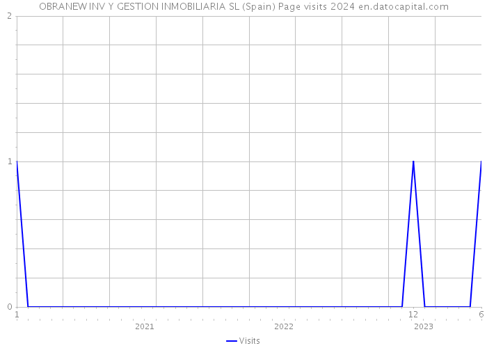 OBRANEW INV Y GESTION INMOBILIARIA SL (Spain) Page visits 2024 