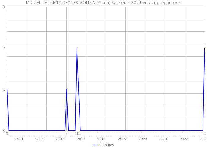 MIGUEL PATRICIO REYNES MOLINA (Spain) Searches 2024 