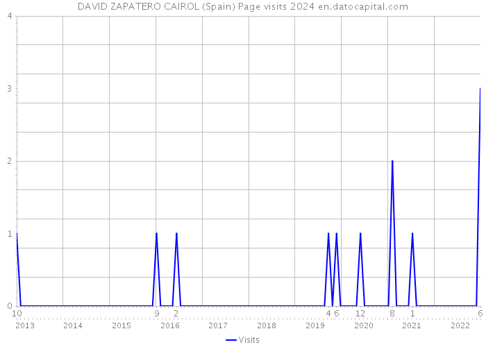 DAVID ZAPATERO CAIROL (Spain) Page visits 2024 