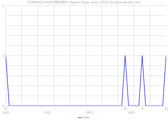 DOMINGO RUIZ FERRERO (Spain) Page visits 2024 