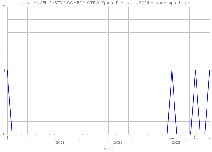 JUAN ANGEL CASTRO GOMEZ Y OTRO (Spain) Page visits 2024 