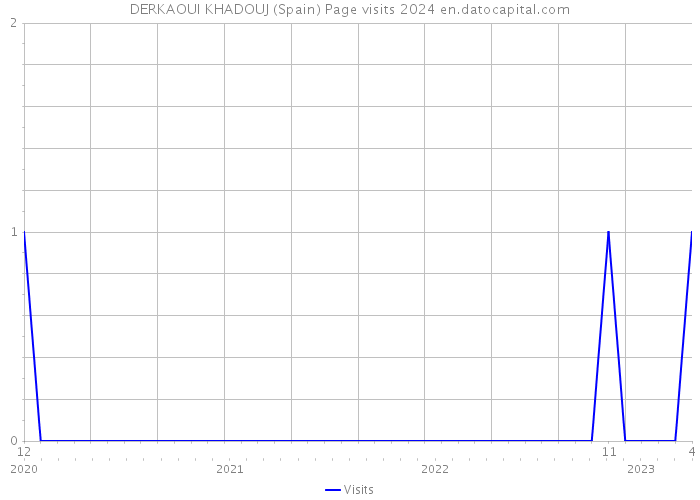 DERKAOUI KHADOUJ (Spain) Page visits 2024 