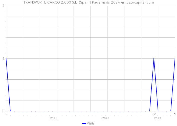TRANSPORTE CARGO 2.000 S.L. (Spain) Page visits 2024 