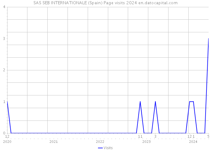 SAS SEB INTERNATIONALE (Spain) Page visits 2024 