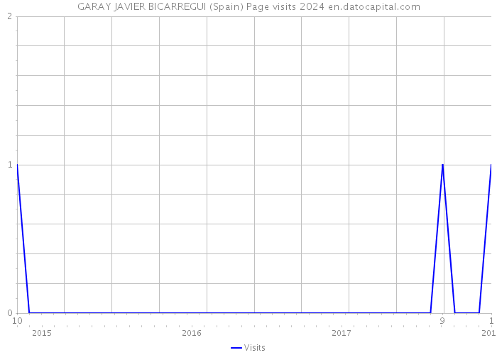 GARAY JAVIER BICARREGUI (Spain) Page visits 2024 