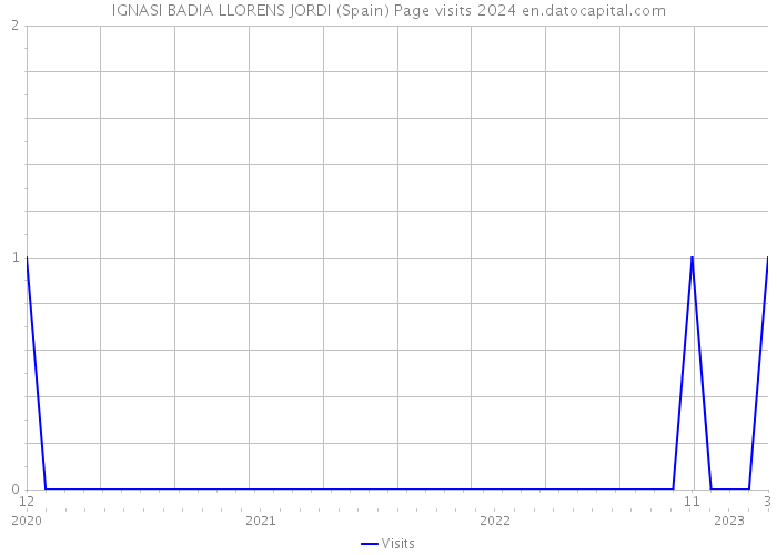 IGNASI BADIA LLORENS JORDI (Spain) Page visits 2024 