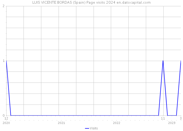 LUIS VICENTE BORDAS (Spain) Page visits 2024 