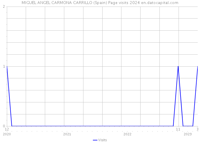 MIGUEL ANGEL CARMONA CARRILLO (Spain) Page visits 2024 