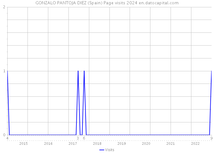 GONZALO PANTOJA DIEZ (Spain) Page visits 2024 