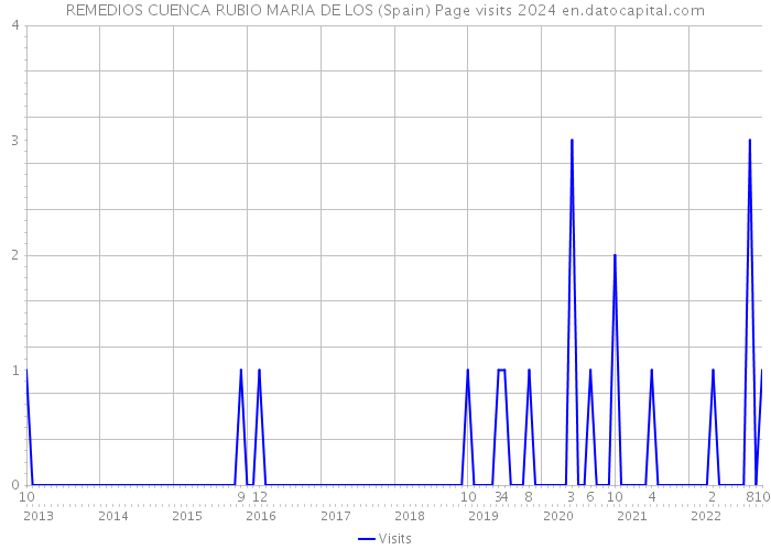 REMEDIOS CUENCA RUBIO MARIA DE LOS (Spain) Page visits 2024 