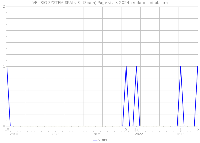 VFL BIO SYSTEM SPAIN SL (Spain) Page visits 2024 