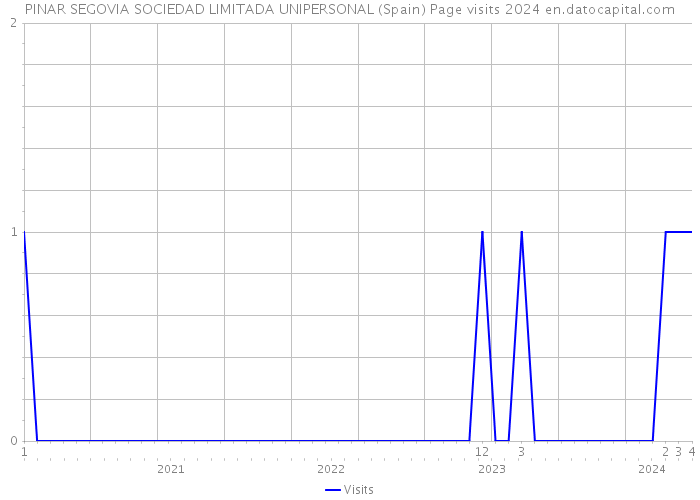 PINAR SEGOVIA SOCIEDAD LIMITADA UNIPERSONAL (Spain) Page visits 2024 