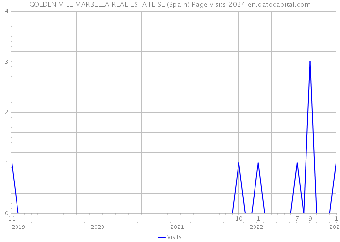 GOLDEN MILE MARBELLA REAL ESTATE SL (Spain) Page visits 2024 