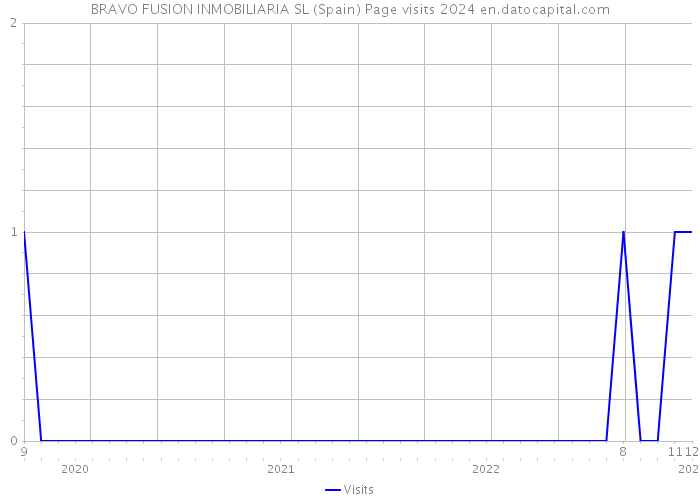 BRAVO FUSION INMOBILIARIA SL (Spain) Page visits 2024 