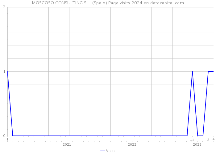 MOSCOSO CONSULTING S.L. (Spain) Page visits 2024 
