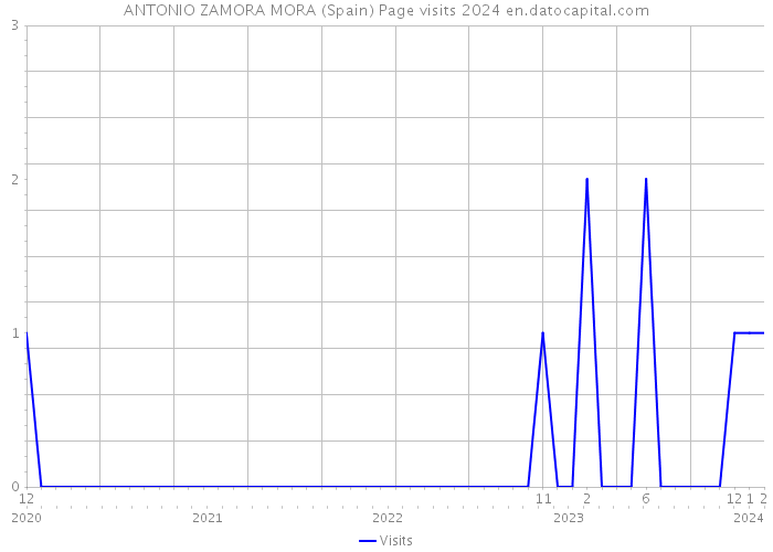 ANTONIO ZAMORA MORA (Spain) Page visits 2024 