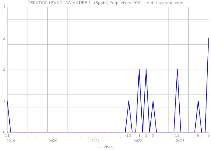 OBRADOR LEVADURA MADRE SL (Spain) Page visits 2024 