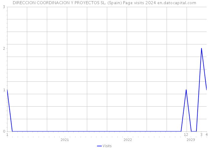 DIRECCION COORDINACION Y PROYECTOS SL. (Spain) Page visits 2024 