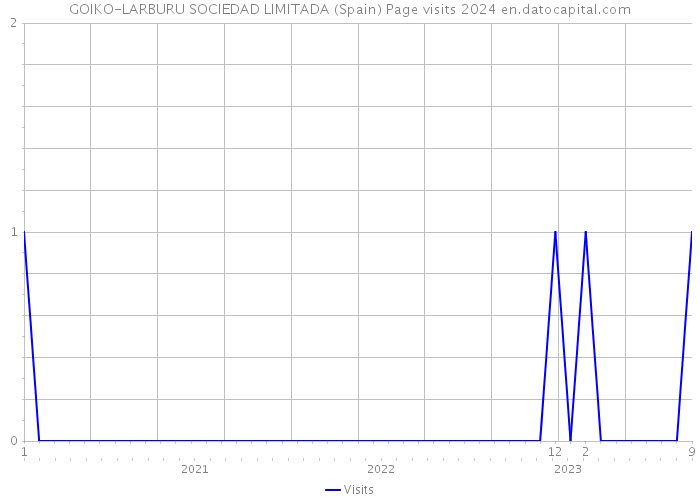 GOIKO-LARBURU SOCIEDAD LIMITADA (Spain) Page visits 2024 