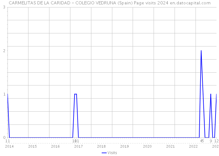 CARMELITAS DE LA CARIDAD - COLEGIO VEDRUNA (Spain) Page visits 2024 