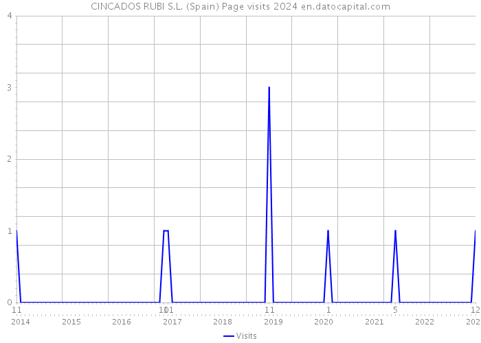 CINCADOS RUBI S.L. (Spain) Page visits 2024 