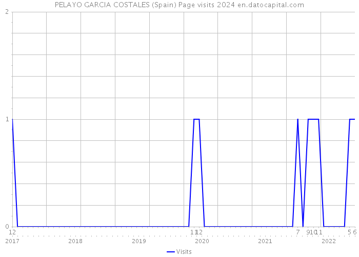 PELAYO GARCIA COSTALES (Spain) Page visits 2024 