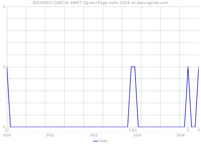 EDUARDO GARCIA AMAT (Spain) Page visits 2024 