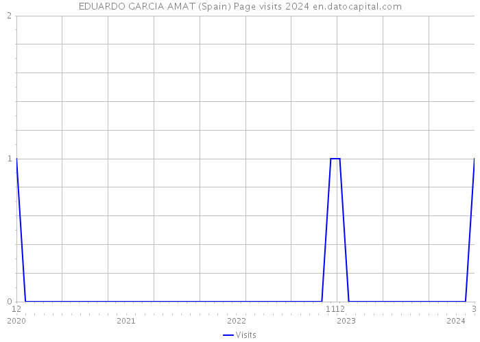 EDUARDO GARCIA AMAT (Spain) Page visits 2024 