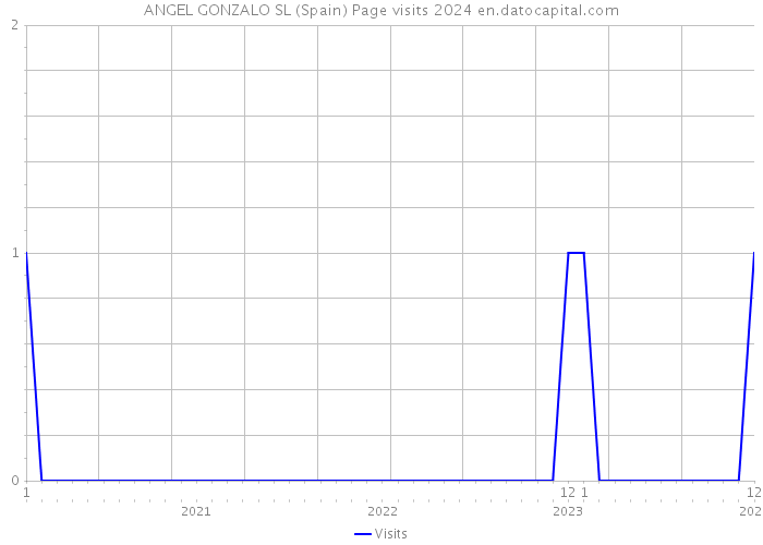 ANGEL GONZALO SL (Spain) Page visits 2024 