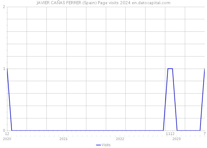 JAVIER CAÑAS FERRER (Spain) Page visits 2024 
