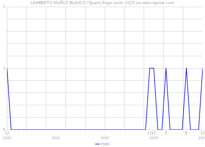 LAMBERTO MUÑOZ BLANCO (Spain) Page visits 2024 