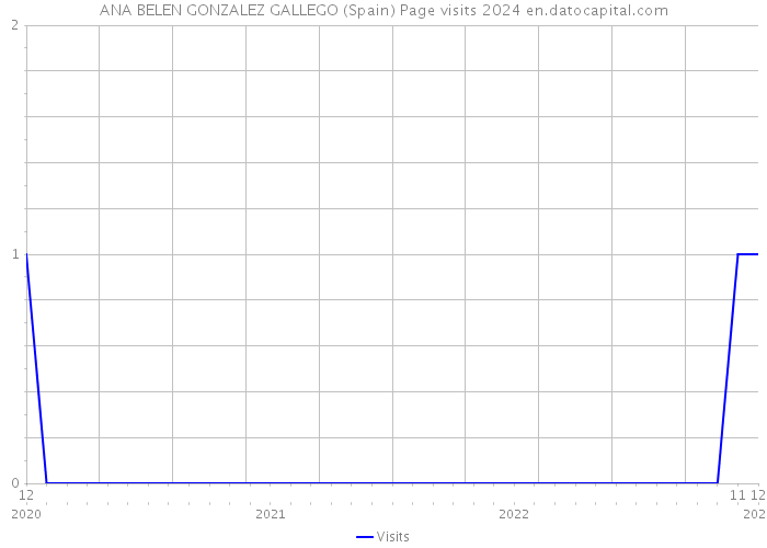 ANA BELEN GONZALEZ GALLEGO (Spain) Page visits 2024 