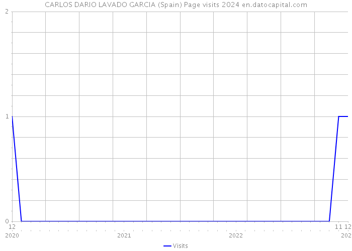 CARLOS DARIO LAVADO GARCIA (Spain) Page visits 2024 