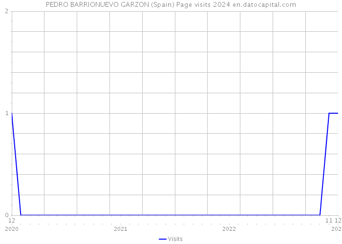 PEDRO BARRIONUEVO GARZON (Spain) Page visits 2024 