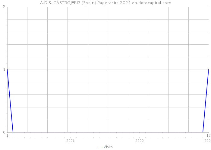 A.D.S. CASTROJERIZ (Spain) Page visits 2024 