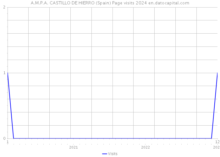 A.M.P.A. CASTILLO DE HIERRO (Spain) Page visits 2024 