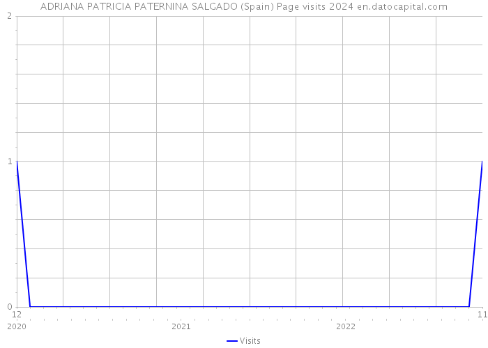 ADRIANA PATRICIA PATERNINA SALGADO (Spain) Page visits 2024 