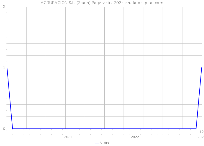 AGRUPACION S.L. (Spain) Page visits 2024 