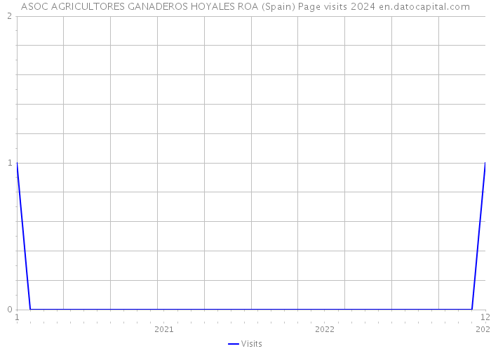 ASOC AGRICULTORES GANADEROS HOYALES ROA (Spain) Page visits 2024 