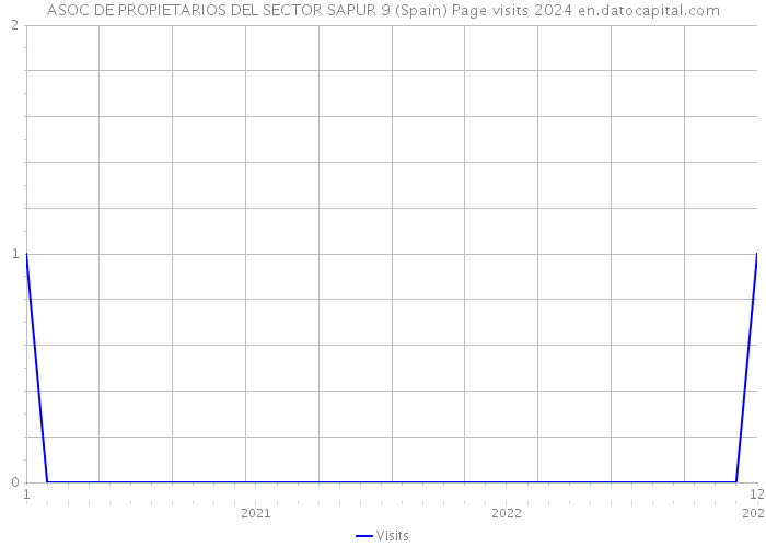 ASOC DE PROPIETARIOS DEL SECTOR SAPUR 9 (Spain) Page visits 2024 