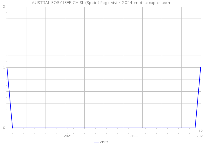 AUSTRAL BORY IBERICA SL (Spain) Page visits 2024 