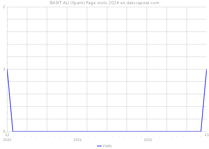 BASIT ALI (Spain) Page visits 2024 