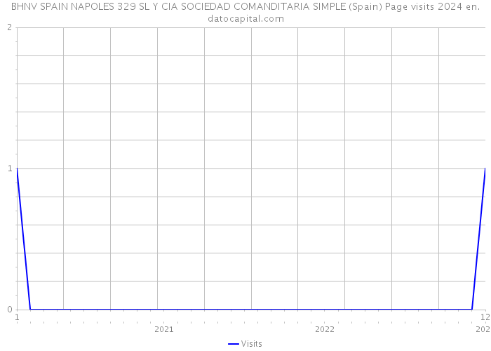 BHNV SPAIN NAPOLES 329 SL Y CIA SOCIEDAD COMANDITARIA SIMPLE (Spain) Page visits 2024 