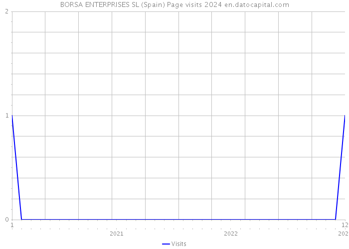 BORSA ENTERPRISES SL (Spain) Page visits 2024 