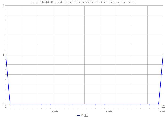 BRU HERMANOS S.A. (Spain) Page visits 2024 