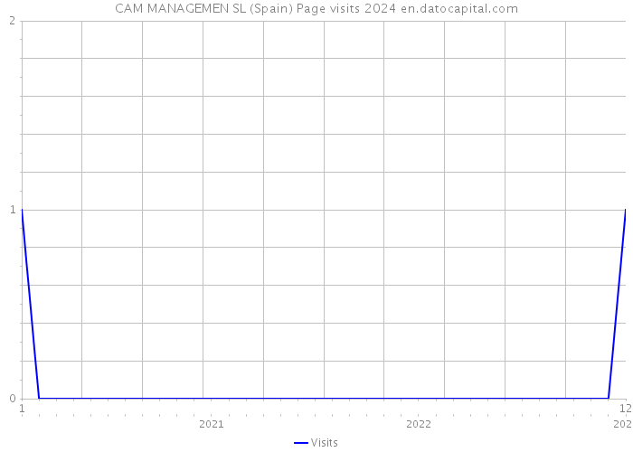 CAM MANAGEMEN SL (Spain) Page visits 2024 