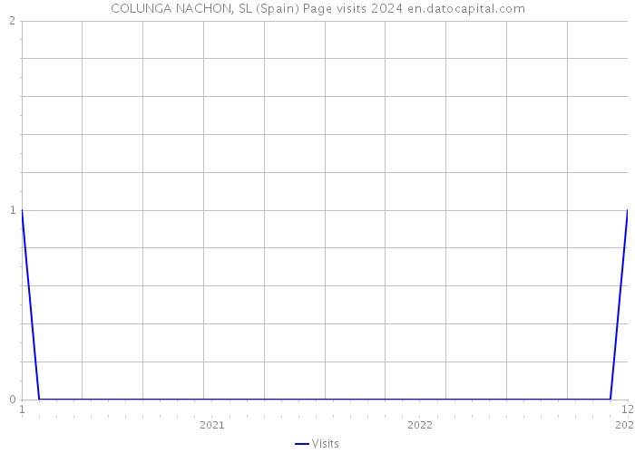 COLUNGA NACHON, SL (Spain) Page visits 2024 