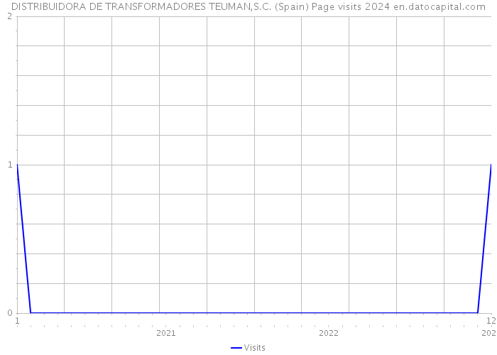 DISTRIBUIDORA DE TRANSFORMADORES TEUMAN,S.C. (Spain) Page visits 2024 