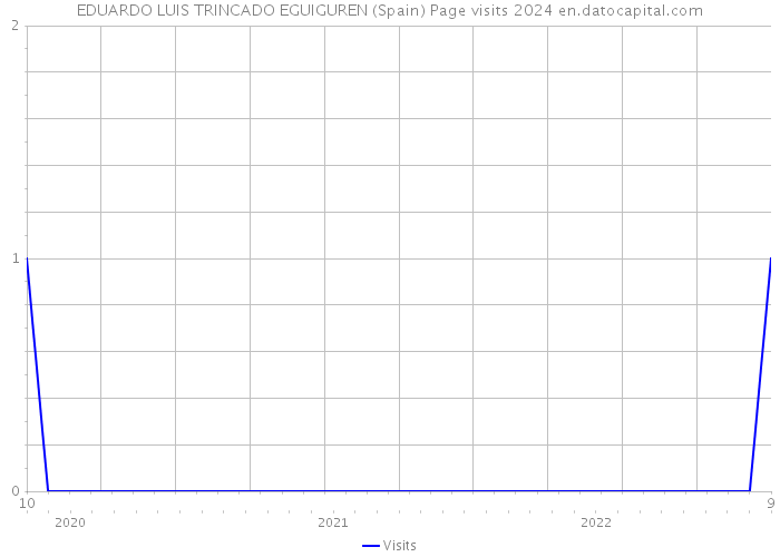EDUARDO LUIS TRINCADO EGUIGUREN (Spain) Page visits 2024 