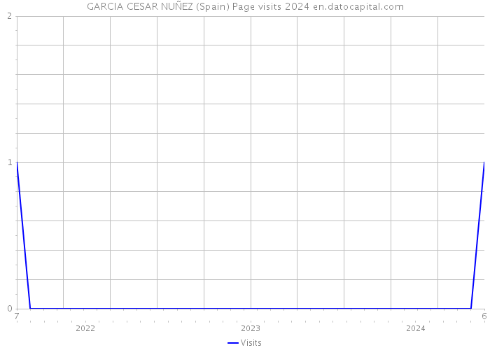 GARCIA CESAR NUÑEZ (Spain) Page visits 2024 